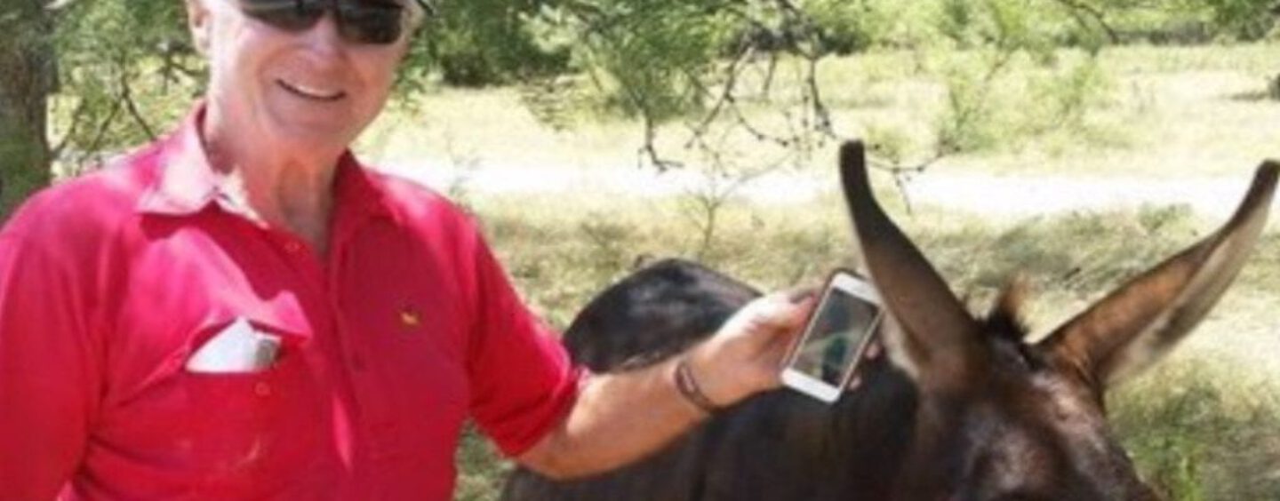 Final Feliz: iPhone cai de avião, burro ajuda na busca e aparelho ainda funciona