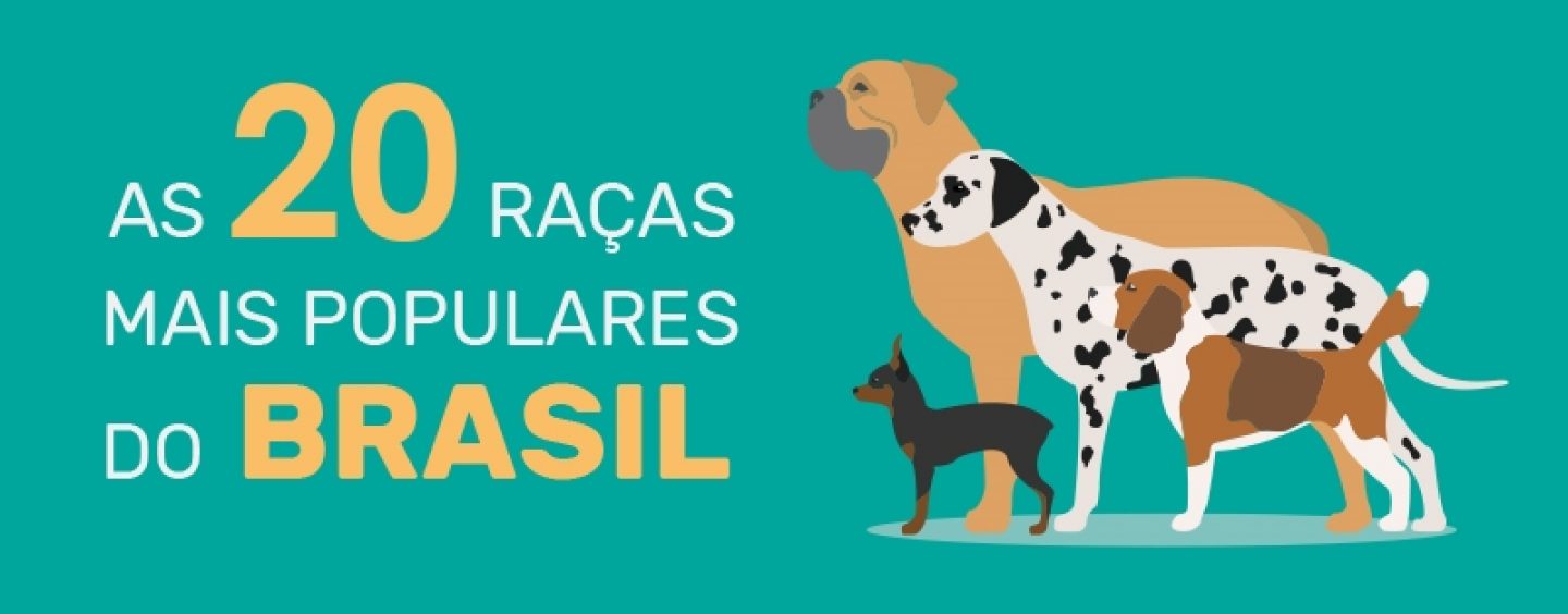 Conheça as principais raças e nomes dos cachorros brasileiros