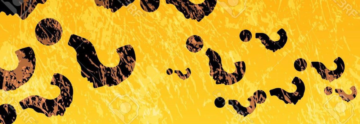 Seu produto é mesmo o que o mercado deseja?