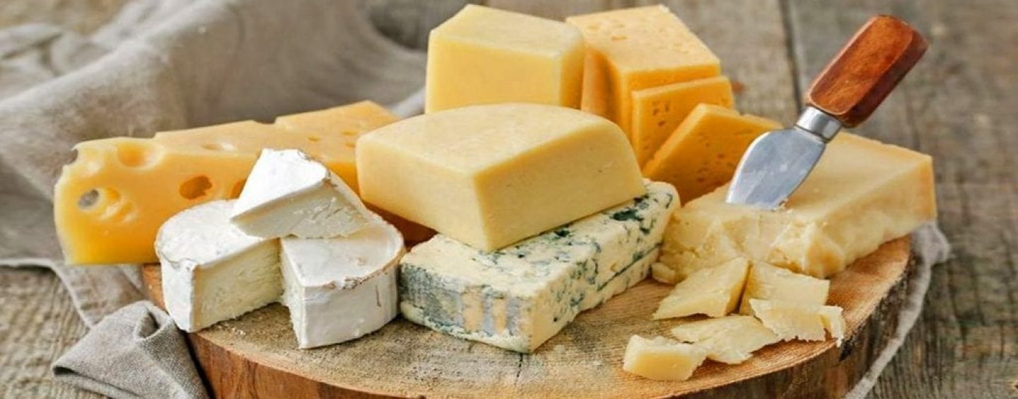 Você gosta de queijo? Criamos um guia para te ajudar!