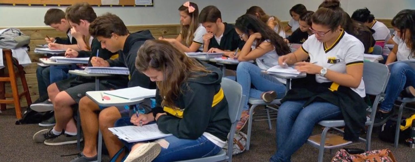 Escola lança projeto de aulas gratuitas e ao vivo em rede social