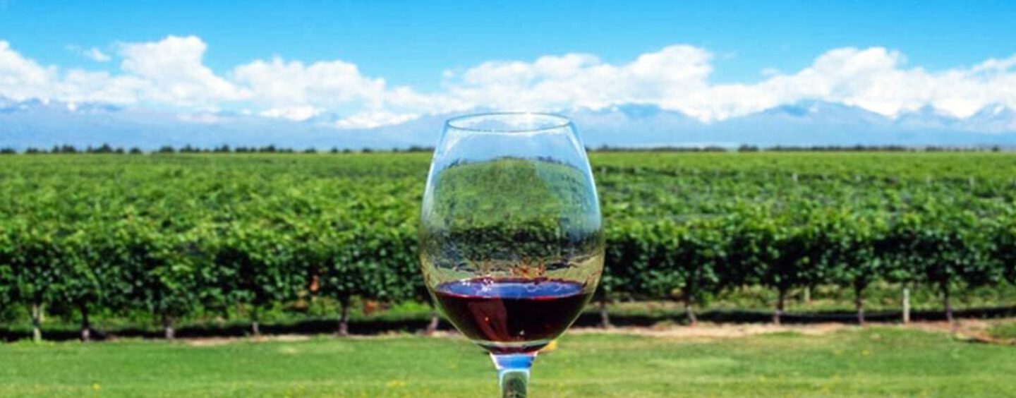 Gosta de vinhos? Confira essas dicas de Enoturismo na América do Sul