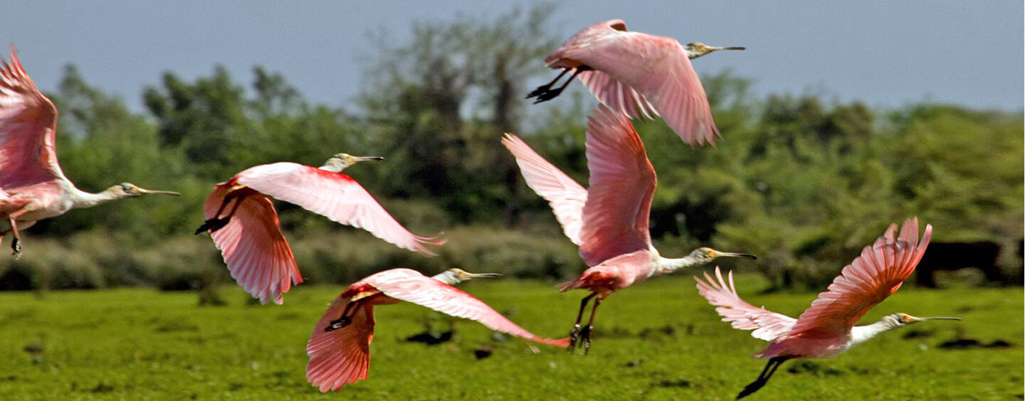 Veja seis pontos imperdíveis de ecoturismo no Uruguai