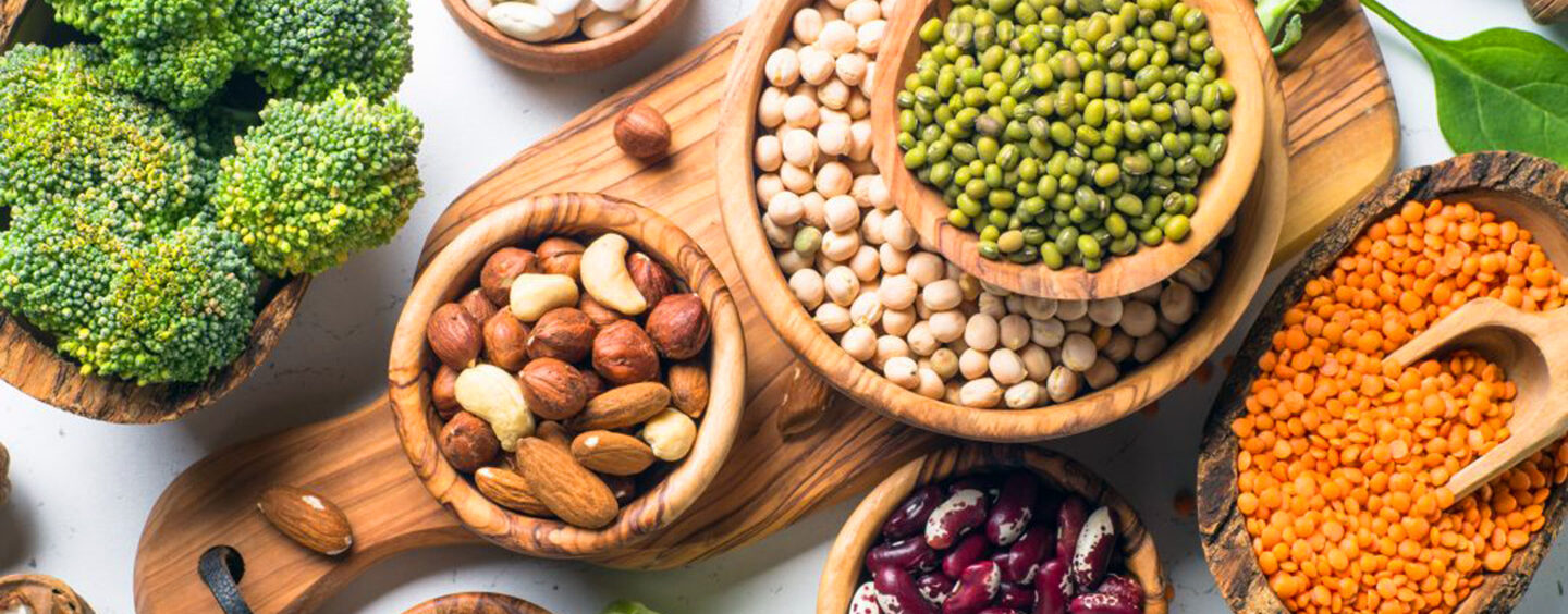Pesquisa inédita analisa Indústria de Proteínas Alternativas no Brasil