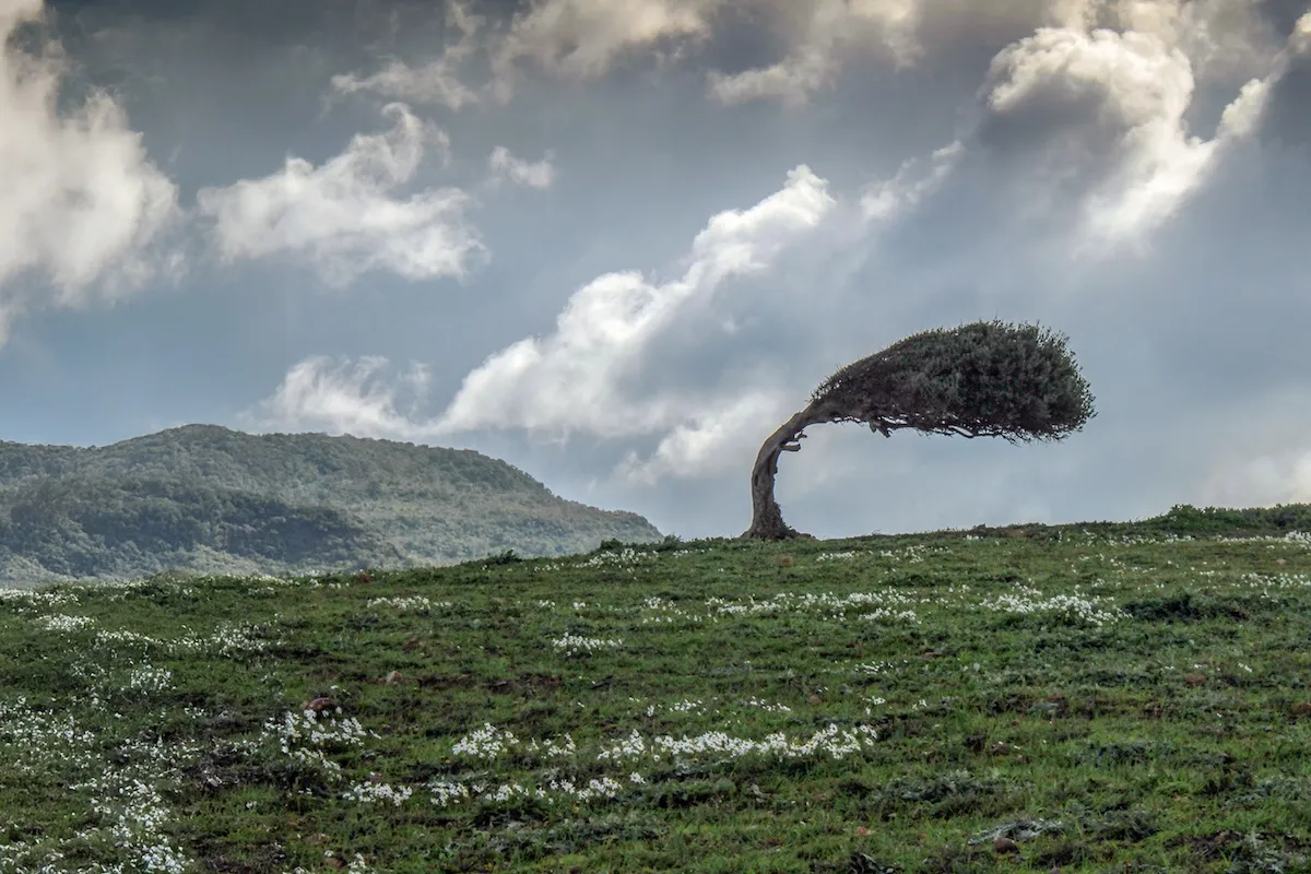 Lançamento do Playbook de Resiliência Empresarial da NielsenIQ